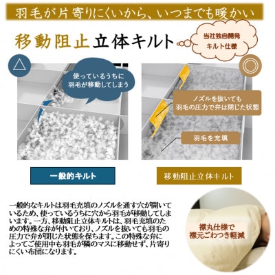 洗える片寄らない羽毛肌掛布団ホワイトダックダウン93%シングル0.3kgアイボリーry0203sIV