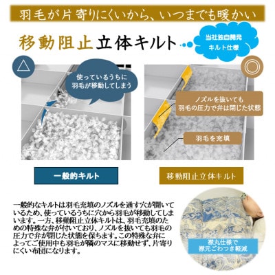 洗える片寄らない羽毛肌掛布団ホワイトダックダウン93%シングル0.3kg柄ブルー ry0203sGB