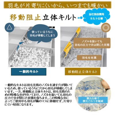 片寄らない羽毛掛布団ホワイトグースダウン95%　セミダブル1.4kg柄ブルー　ry0213sdGB