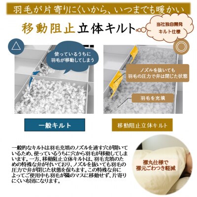 片寄らない羽毛掛布団ホワイトグースダウン95%　ダブル1.55kgアイボリー　ry0213dIV