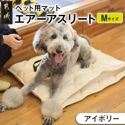 ペット用「エアーアスリート(R)」Mサイズ　アイボリー　ry0202mIV