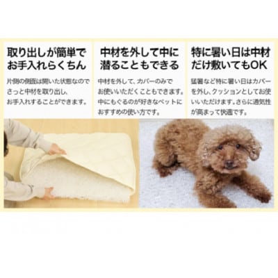 ペット用「エアーアスリート(R)」Mサイズ　ブラウン　ry0202mBR