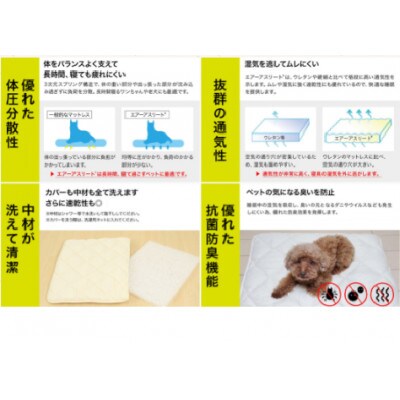 ペット用「エアーアスリート(R)」Lサイズ　アイボリー　ry0202lIV