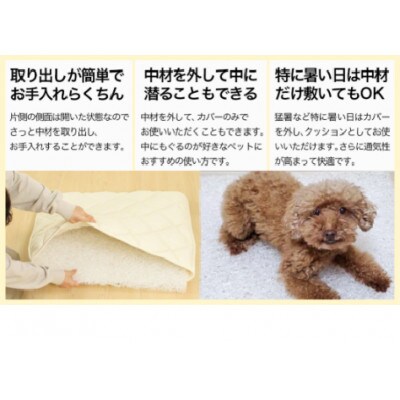 ペット用「エアーアスリート(R)」Lサイズ　ブラウン　ry0202lBR
