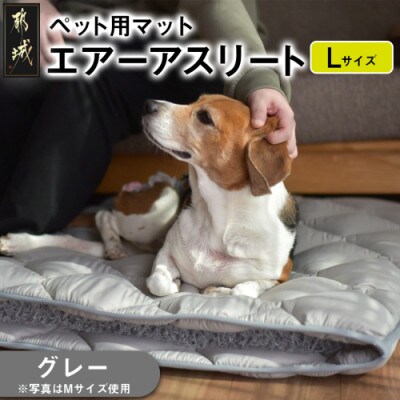 ペット用「エアーアスリート(R)」Lサイズ　グレー　ry0202lGY