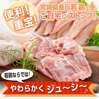 宮崎県産若鶏 もも肉&ささみのこだわりセット(4kg)