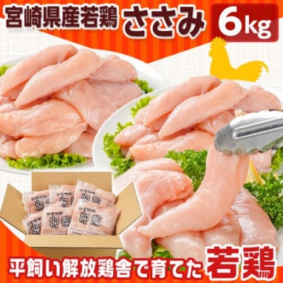 宮崎県産若鶏 ささみ(6kg)