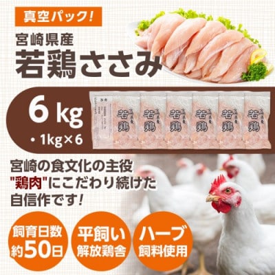 宮崎県産若鶏 ささみ(6kg)