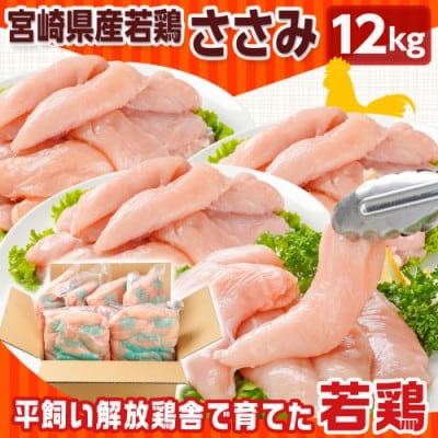 宮崎県産若鶏 ささみ(12kg)