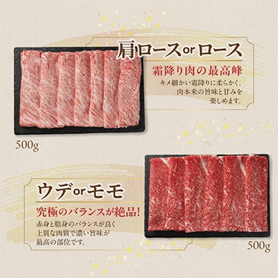 宮崎牛【赤身&霜降り】スライス2種セット【1kg】(都城市)
