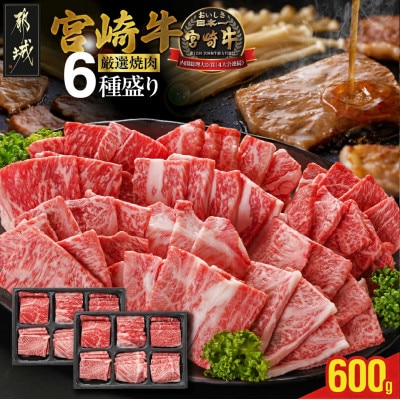 宮崎牛6種盛り焼肉食べ比べ【600g】(都城市)