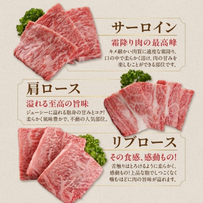 宮崎牛6種盛り焼肉食べ比べ【600g】(都城市)