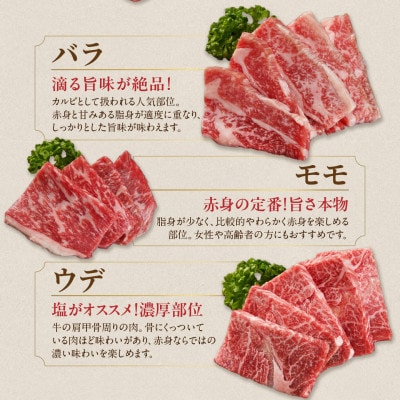 宮崎牛6種盛り焼肉食べ比べ【600g】(都城市)