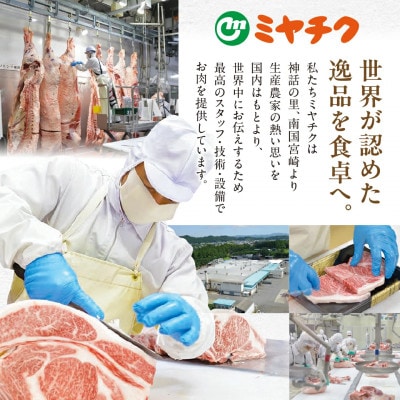 宮崎牛6種盛り焼肉食べ比べ【600g】(都城市)