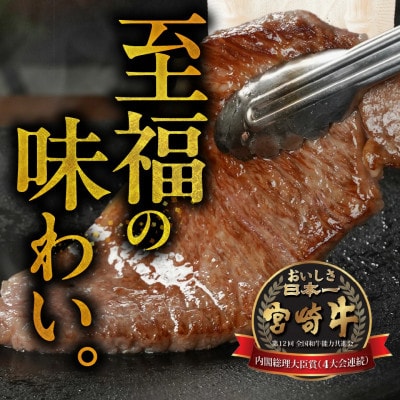 宮崎牛ロースステーキ 4枚 【計1000g】(都城市)