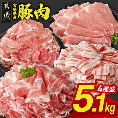 宮崎県産豚肉 満喫セット 5.1kg(都城市)