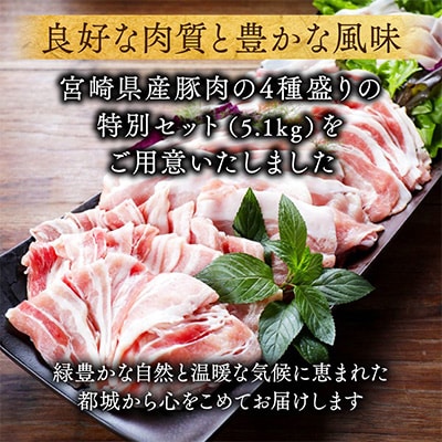 宮崎県産豚肉 満喫セット 5.1kg(都城市)