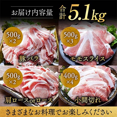 宮崎県産豚肉 満喫セット 5.1kg(都城市)