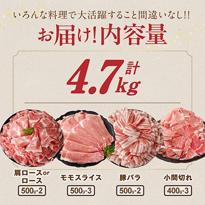 宮崎県産豚肉 満喫セット 4.7kg(都城市)