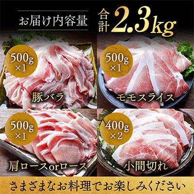 宮崎県産豚肉 満喫セット 2.3kg(都城市)