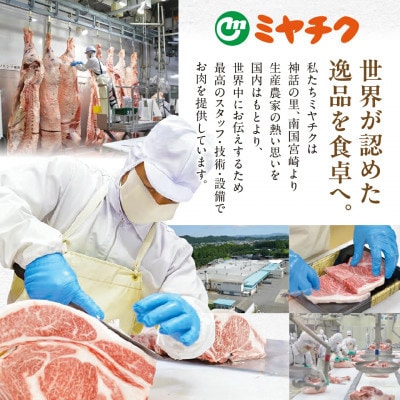 宮崎県産豚肉 満喫セット 2.3kg(都城市)