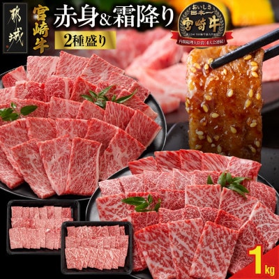 宮崎牛【赤身&霜降り】焼肉用2種セット【1kg】(都城市)