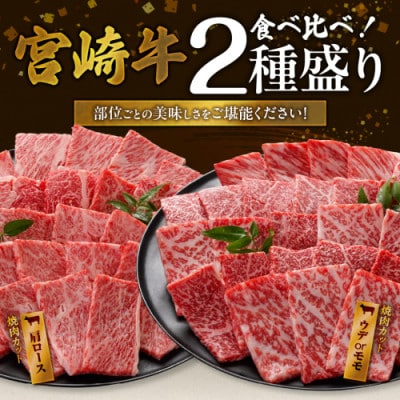 宮崎牛【赤身&霜降り】焼肉用2種セット【1kg】(都城市)