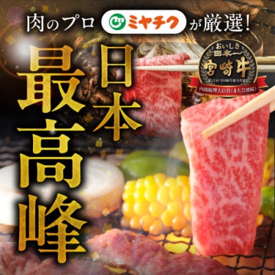 宮崎牛【赤身&霜降り】焼肉用2種セット【1kg】(都城市)