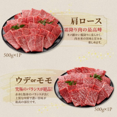 宮崎牛【赤身&霜降り】焼肉用2種セット【1kg】(都城市)