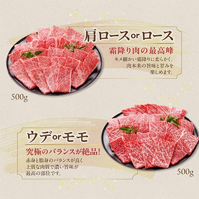 宮崎牛【赤身&霜降り】焼肉用2種セット【1kg】(都城市)