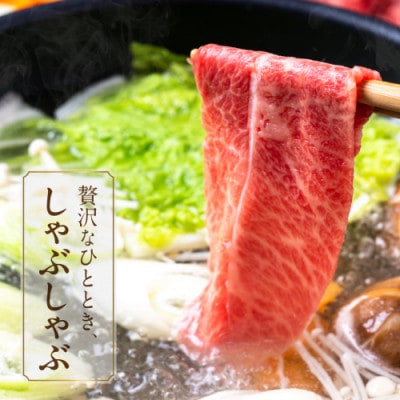 宮崎牛【赤身&霜降り】しゃぶしゃぶ2種セット【1kg】(都城市)