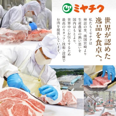 宮崎牛【赤身&霜降り】しゃぶしゃぶ2種セット【1kg】(都城市)