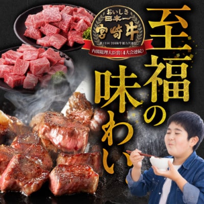 宮崎牛【赤身&霜降り】サイコロステーキ2種セット【1kg】(都城市)