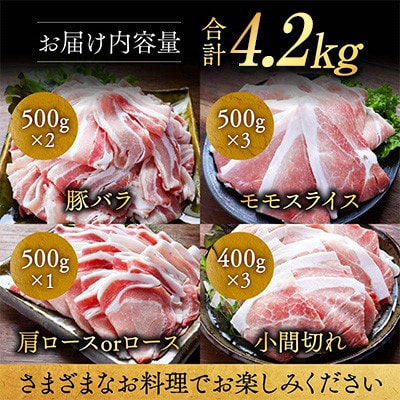 宮崎県産豚肉 満喫セット 4.2kg(都城市)