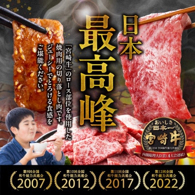 【訳あり】宮崎牛ロース切落し焼肉500g(都城市)