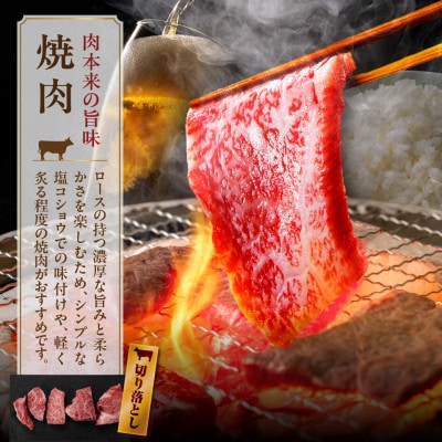 【訳あり】宮崎牛ロース切落し焼肉500g(都城市)