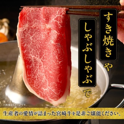 宮崎牛 赤身(ウデorモモ) スライスカット 500g(都城市)