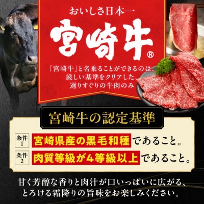 宮崎牛 赤身(ウデorモモ) スライスカット 500g(都城市)