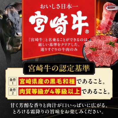 宮崎牛 赤身(ウデorモモ) 焼肉カット 500g(都城市)