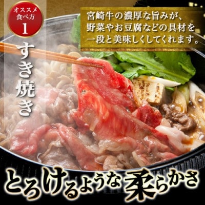 宮崎牛ローススライス(約500g)