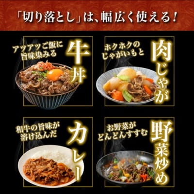 宮崎牛赤身切落し約1.5kg(約500g×3パック)