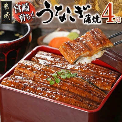 宮崎県育ちのうなぎ蒲焼4尾約720g≪山椒・たれ付≫(都城市)