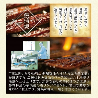 宮崎県育ちのうなぎ蒲焼4尾約720g≪山椒・たれ付≫(都城市)