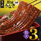 宮崎県育ちのうなぎ蒲焼3尾680g以上(大きいサイズ)≪山椒・たれ付≫(都城市)