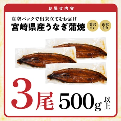 宮崎県育ちのうなぎ蒲焼3尾約500g≪山椒・たれ付≫(都城市)