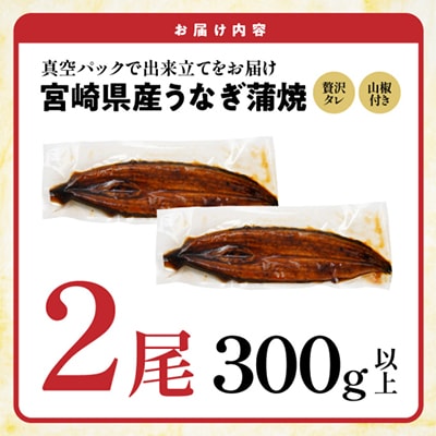 宮崎県育ちのうなぎ蒲焼2尾約300g≪山椒・たれ付≫(都城市)