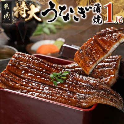 宮崎県育ちのうなぎ蒲焼1尾約210g(大きいサイズ)≪山椒・たれ付≫(都城市)
