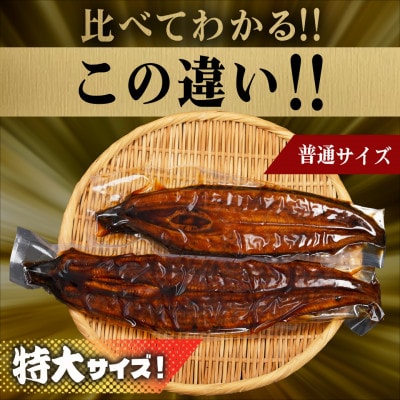 宮崎県育ちのうなぎ蒲焼1尾約210g(大きいサイズ)≪山椒・たれ付≫(都城市)