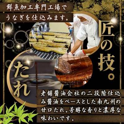 宮崎県育ちのうなぎ蒲焼1尾約210g(大きいサイズ)≪山椒・たれ付≫(都城市)