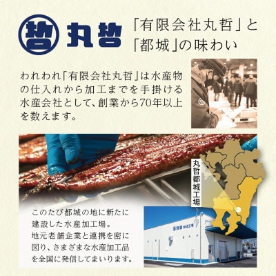 宮崎県育ちのうなぎ蒲焼1尾約210g(大きいサイズ)≪山椒・たれ付≫(都城市)